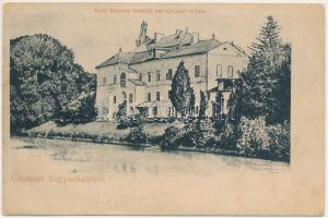 Nagymihály, Michalovce; Gróf Sztáray kastély sztrajnyáni (Laborcszög) oldala. Landesmann B. kiadása / castle from Strájnany (EK)