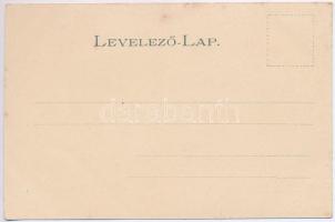 Kőhalom, Reps, Rupea; Burg / vár, Fő tér / castle, main square. Hans Gross Art Nouveau, litho