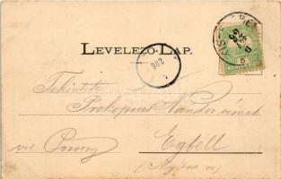 1902 Kisszeben, Sabinov; Fő utca, templom. Stehr Gusztáv kiadása / main street, church (fl)