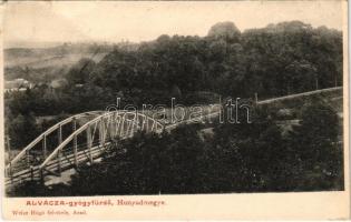 1907 Alváca, Vata de Jos; gyógyfürdő Hunyadmegye, vasúti híd. Weisz Hugó felvétele / railway bridge