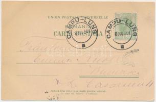 1901 Campulung Muscel, Hosszúmező, Kimpolung, Cimpolung (Arges); Bulevardul. Tache Niculeascu / boul...