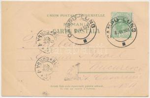 1901 Campulung Muscel, Hosszúmező, Kimpolung, Cimpolung (Arges); Scola normala si vederea de sud. Ta...