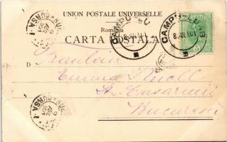 1901 Campulung Muscel, Hosszúmező, Kimpolung, Cimpolung (Arges); Tache Niculeascu