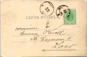 1901 Bucharest, Bukarest, Bucuresti, Bucuresci; Palatul de la Cotroceni / palace (EK)