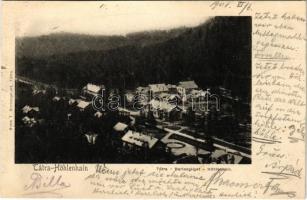 1901 Barlangliget, Höhlenhain, Tatranská Kotlina (Magas-Tátra, Vysoké Tatry); látkép. Sima T. kiadása / general view (kis szakadás / small tear)