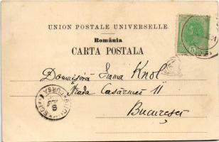 1901 Busteni, Urlatórea / waterfall