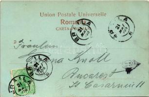 1900 Braila, Lacul Sarat, Palatul Administrativ / night