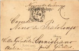 Divény, Divín; Nógrád vármegye várai: Divény, Salgó és Hollókő vára. Kiadja Darvai Armin / Divínsky ...