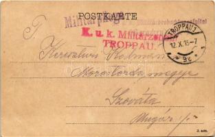 1915 Opava, Troppau; Engelsbergpark / park (EK)