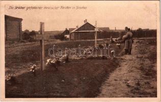 Die Gräber gefallener deutscher Helden in Grodno / WWI German military cemetery