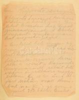 Szopori Nagy Jolán: Magyar nők szakácskönyve. Saját tapasztalatai után összegyűjtötte és szerkesztet...