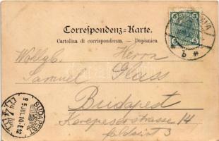 1905 Abbazia, Opatija; Angiolina-Park / park (ázott sarok / wet corner)