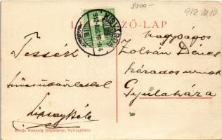 1912 Jéke (Kisvárda), Liptay-kúria, kastély. Hunyady fényképész kiadása - A tulajdonos, Liptay Béla ...