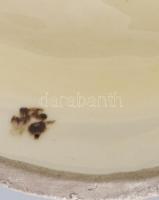 Régi német historizáló figurás váza, mázas fajansz, kopással, m: 34 cm