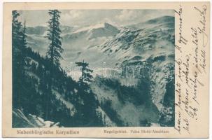 1918 Fogarasi-havasok, Siebenbürgische Karpathen, Muntii Fagarasului; Negoigebiet, Valea Sarati-Abschluss / Negoj, Sarata-völgy / mountain, valley (fl)