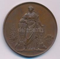 Wenzel Seidan (1817-1870) 1876. &quot;Máramaros Megye és Sziget Kor. Városa - Magyar Orvosok és Természetvizsgálók XIX. Gyűlésének&quot; bronz emlékérem (45mm) T:AU,XF Hungary 1876. &quot;Maramure? County and Sighetu Marmatei / VIIIth General Assembly of the Hungarian Doctors and Naturalists&quot; bronze commemorative medallion (45mm) C:AU,XF