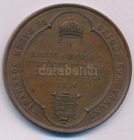 Wenzel Seidan (1817-1870) 1876. "Máramaros Megye és Sziget Kor. Városa - Magyar Orvosok és Term...