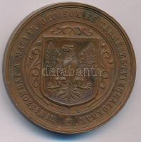 Wenzel Seidan (1817-1870) 1866. "Rimaszombat a Magyar Orvosok és Természetvizsgálóknak" ké...