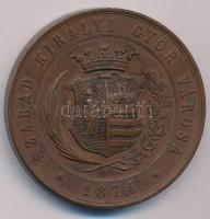 Wenzel Seidan (1817-1870) 1872. "Mehadia / A Magyar Orvosok és Természetvizsgálók XVI-ik Nagygy...