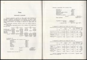 1915 Budapest Székesfőváros Gázművei. Ripka Ferenc Dr. központi igazgató jelentése a Gázművek 1914. ...