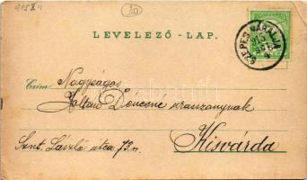 1915 Szepesváralja, Spisské Podhradie; látkép, templom és püspökilak Szepeshelyen / general view, ch...