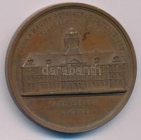 Wenzel Seidan (1817-1870) 1868. &quot;Eger a Magyar Orvosoknak és Természetvizsgálóknak 1868 - Egri Érseki Lyceum&quot; bronz emlékérem (44mm) T:AU Hungary 1868. &quot;Eger a Magyar Orvosoknak és Természetvizsgálóknak 1868 - Egri Érseki Lyceum&quot; bronze commemorative medallion. Sign.: Wenzel Seidan (44mm) C:AU