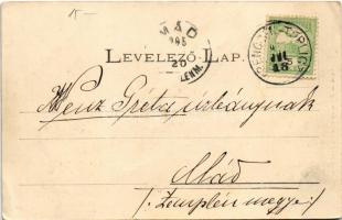 1905 Trencsénteplic, Trencianske Teplice; Baracska-völgy. Wertheim Zsigmond kiadása / Baracskathal /...