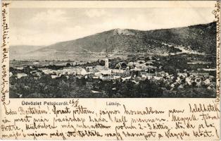 1906 Pelsőc, Pelsőcz, Pelsücz, Plesivec (Gömör); látkép. Pártos Mór kiadása / general view (EK)