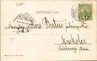 1906 Pelsőc, Pelsőcz, Pelsücz, Plesivec (Gömör); látkép. Pártos Mór kiadása / general view (EK)