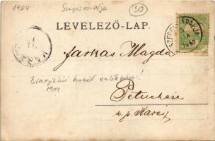 1904 Szepesváralja, Spisské Podhradie; Branyiszkói csata emlékoszlopa, hősök síremléke (1919-ben fel...