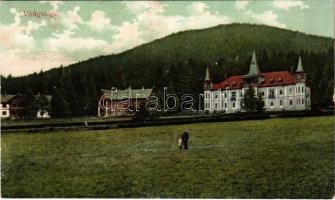 1911 Tátra, Tatry; Virágvölgy (Rózsavölgy), Blumental, Kvetnica; nyaralók. Divald Károly műintézete 2145-1909. / villas (EK)