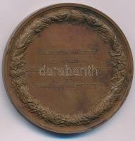 Josef Daniel Boehm (1794-1865) 1846. "Szívesen fogadják az Aug. 10-16 egybegyült Magyar Orvosok...