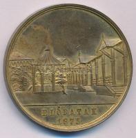 1875. "A magyar orvosok és természet vizsgálók XVIII. nagy gyűlésének / Előpatak 1875" ara...