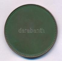 Olaszország DN "Sigillum Civitatis Tergestine (Triest)" egyoldalas bronz emlékérem (38mm) ...