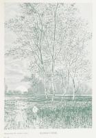 Bársony István: Erdőn mezőn. 

Az író, Bársony István (1855-1928) vadász, író, újságíró által DEDI...