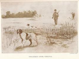 Diezel, [Karl Emil] - Mika, [Károly]: A fogoly, fácán, császármadár és erdei szalonka természetrajza...