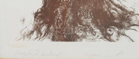 Olexa József (1960-): Öreg bükk. Rézkarc, papír jelzett, 39x29 cm, üvegezett fakeretben