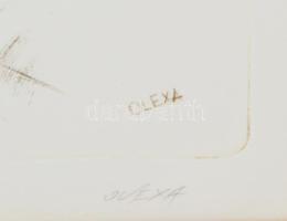 Olexa József (1960-): Öreg bükk. Rézkarc, papír jelzett, 39x29 cm, üvegezett fakeretben