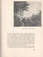 Szuomi harca az otthonért, hitért és hazaért 1939-1940. A háború kezdete. A hadműveletek lefolyása. ...