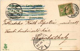 1903 Boldog új évet! Szecessziós hölgy malacokkal / New Year greeting, lady with pigs. Trademark No....