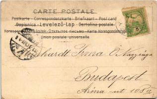 1906 Február. Szecessziós művészlap / February. J.P.W. Serie 366. No. 2. Art Nouveau litho s: Hegedű...