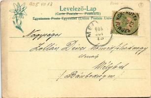 1905 Szomolnokhuta, Szomolnok-Hutta, Smolnícka Huta (Szepes, Zips); Panorama von Schmölnitzhütte. Fe...