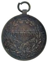 1917. "Károly Bronz Vitézségi Érem" bronz kitüntetés mellszalag nélkül. Szign.: Kautsch T:...