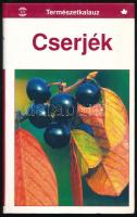 Cserjék. Természetkalauz. Ford.: B. Thúry Zsuzsanna. Bp., 2005, M-érték. Gazdag képanyaggal illusztrálva. Kiadói papírkötés.