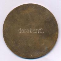 DN "Alkotói Nívódíj" egyoldalas bronz plakett (69mm) T:AU,XF
