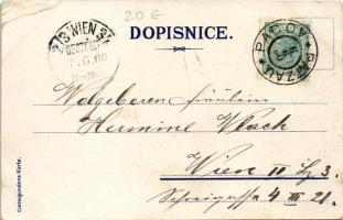 1900 Pelhrimov, Národni dum, Hostinec Kocanda, Lesní partie pod Kremesnikem, Nádrazí / National Hous...