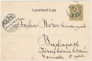 1906 Bánffyhunyad, Huedin; Kossuth utca, Temes István kalapos üzlete. Dobay Pál kiadása / street, sh...