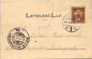 1901 Pozsony, Pressburg, Bratislava; K.u.k. Garnisonspital Nr. 19. Bediene dich allein / Cs. és kir....