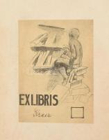 Guizot, (Francois Pierre Guillaume) Ferencz: Az angol forradalom története I. Károly haláláig
Pest,...