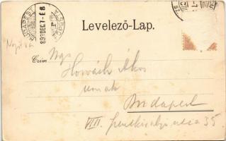 1899 (Vorläufer) Érsekújvár, Nové Zámky; Szent Ferencrendi templom, Kórház, Kossuth Lajos tér. Conle...